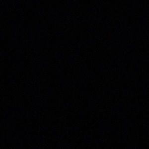 Meet your Posher, Dario